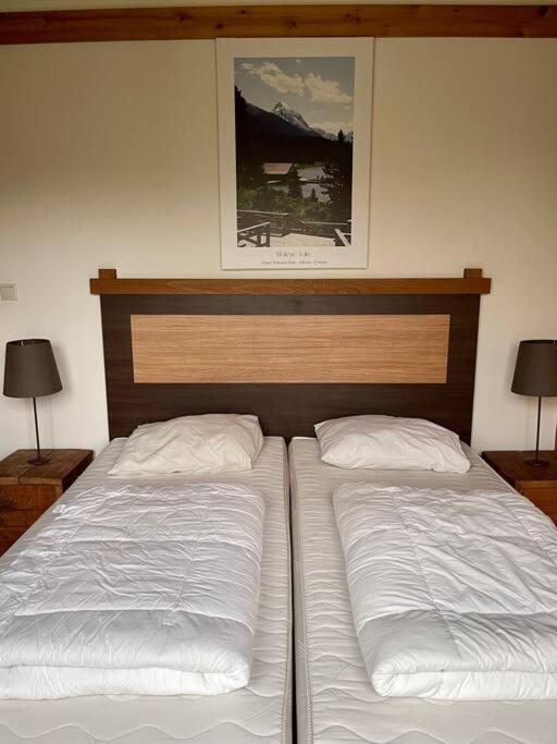 Unieke Houten Villa Met Sauna In Twente - 6P Den Ham Exterior foto